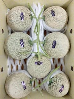 や*す様 高知県産　マスクメロン 6玉入り 約7.6㎏（下箱込み） マ*ん様 高知県産 マスクメロン 7玉入り 約7㎏（下箱込み） - メルカリ