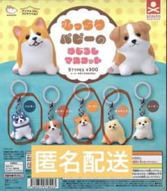 もっちりパピーのめじるしマスコット 3種セットのサムネイル