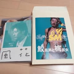 映画チラシ浅野忠信 鮫肌男と桃尻女 風花 - メルカリ