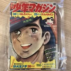 少年マガジン 48号のサムネイル