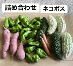 ミニゴーヤ・ミニピーマン・ミニにんじん・ミニ紅はるか　野菜セットのサムネイル