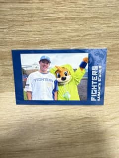 北海道日本ハムファイターズ　吉田賢吾選手　カビー　チェキのサムネイル