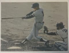 1973〜1976年 カルビープロ野球カード＆BBMスタンプ 25組大鑑セット 