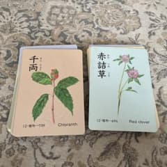 家庭保育の楽しい絵カード　植物のサムネイル