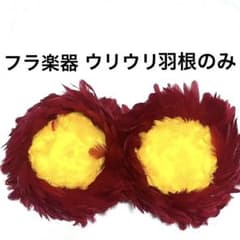フラ楽器 ウリウリ 羽根のみ フラダンス ハワイ - メルカリ