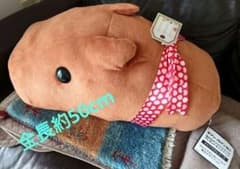 세부 일레븐 한정 비매품 카피바라 씨 봉제 인형 (전체 길이 약 50cm)