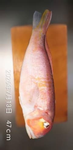 ルナ様専用のサムネイル