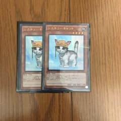 レスキューキャットのサムネイル