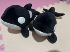 名古屋港水族館 シャチくじのサムネイル