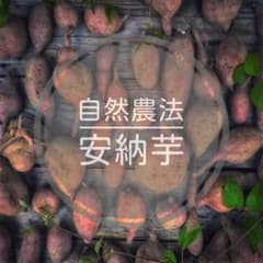 ■希少■　数量限定　自然農法　自然栽培　安納芋　2キロ以上　無農薬　オーガニックのサムネイル