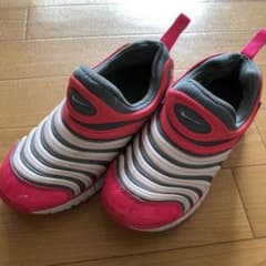 NIKE ナイキ ダイナモフリー　20cmのサムネイル
