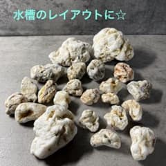 原石 天然石 水槽B アクアリウム テラリウム 盆栽 多肉植物 大~小22個