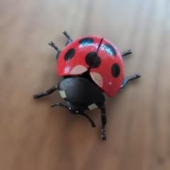 てんとう虫さん専用 4Dパズル 昆虫DX てんとう虫 - メルカリ