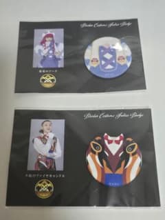ゴジュウジャー ブライダン ファブリックバッジ ファイヤキャンドル ブーケセットのサムネイル