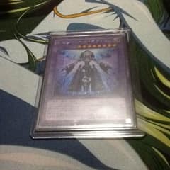 遊戯王 エルシャドール ネフィリム  シクのサムネイル