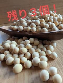 ７年北海道産大豆ゆきほまれ お手頃500グラム♪残り２つのサムネイル