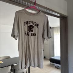 WAREHOUSE&CO.×BEAMSPLUS別注4601PrintTshirtのサムネイル