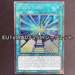 未来融合フューチャーフュージョン 英語 EU 1st 25thシークレット シク