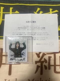 櫻坂46 向井純葉 直筆メッセージ入りチェキ - メルカリ