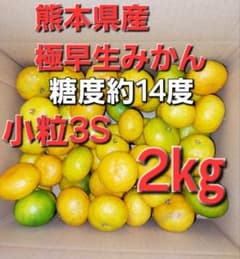 熊本県産極早生みかん　小粒～3Sサイズ　2㎏のサムネイル