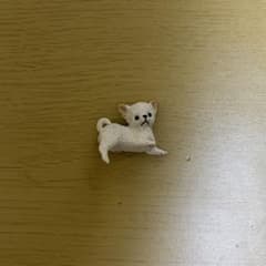 ふちやすみ　チワワ　カプセルトイのサムネイル