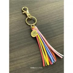 未開封☆ 着飾る恋には理由があって　タッセルキーホルダー　川口春奈のサムネイル