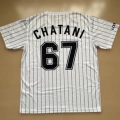 千葉ロッテマリーンズ 茶谷健太選手 ネーム＆ナンバーTシャツ ホーム