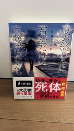 夏の終わりに君が死ねば完璧だったからのサムネイル