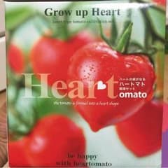 ハートマト♡heartomatoのサムネイル