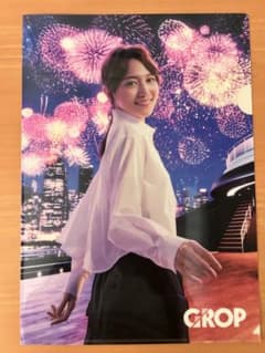 ☆非売品☆ 川口春奈 クリアファイル A4サイズ CROP社 - メルカリ