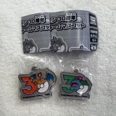 ポケモン30周年 メタルチャームマスコット 2点セットのサムネイル