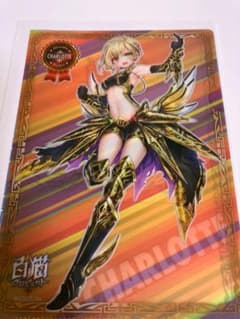흰 고양이 프로젝트 샬롯 미니 클리어 파일