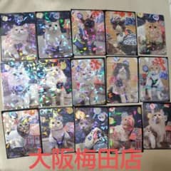 猫カフェmocha 大阪梅田店 トレカのサムネイル