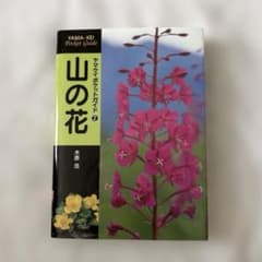 山の花 ヤマケイポケットガイドのサムネイル