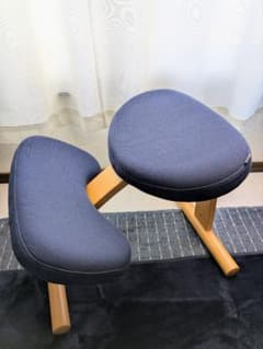 美品サカモトハウス バランスイージー ネイビー 取扱説明書付き