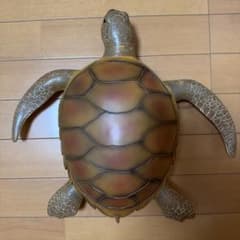 ウミガメ ぬいぐるみのサムネイル