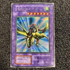 竜騎士ガイア シークレット 初期 - メルカリ