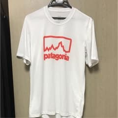 パタゴニア Tシャツ 美品のサムネイル