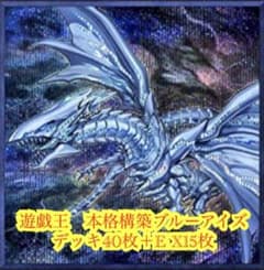 遊戯王 本格構築ブルーアイズデッキ40枚＋E X15枚 - メルカリ