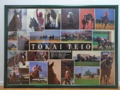 完成品】トウカイテイオー/ナリタブライアン メモリアル 2000ピース枠