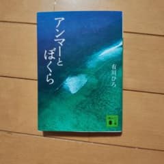 アンマーとぼくらのサムネイル