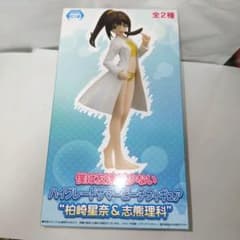 하이 그레이드 여름 비치 피규어 시쿠마 이과