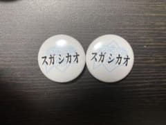【レア/未使用】スガ シカオ RSR 缶バッジ ライジングサン スガシカオのサムネイル