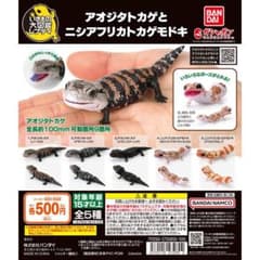 いきもの大図鑑レプティ アオジタトカゲとニシアフリカトカゲモドキ全5