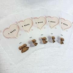 saving リフィル貯金のサムネイル