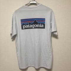 パタゴニアpatagonia Tシャツ ホワイト　サイズSのサムネイル