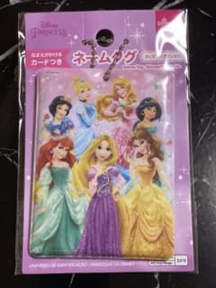 디즈니 프린세스 패스 케이스 네임 태그 키홀더 디즈니
