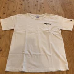あつし様専用　stussy✖️champion  コラボTシャツ　L sizeのサムネイル