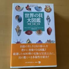 世界の貝大図鑑のサムネイル