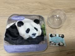 パンダファミリーミニタオル 楓浜 - メルカリ